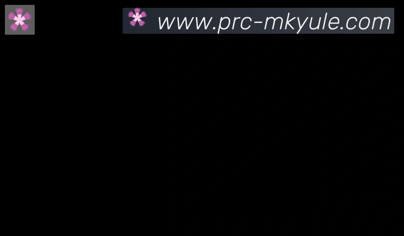 MK体育APP合作伙伴